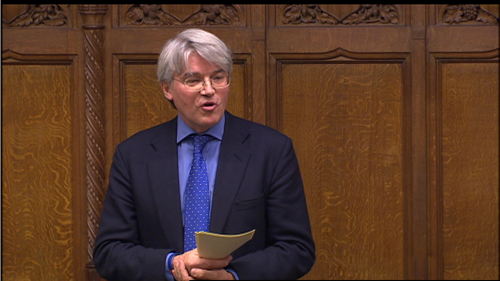 Andrew Mitchell Mp Raises The Importance Of Preserving Sutton’s Green Belt In Parliament Royal
