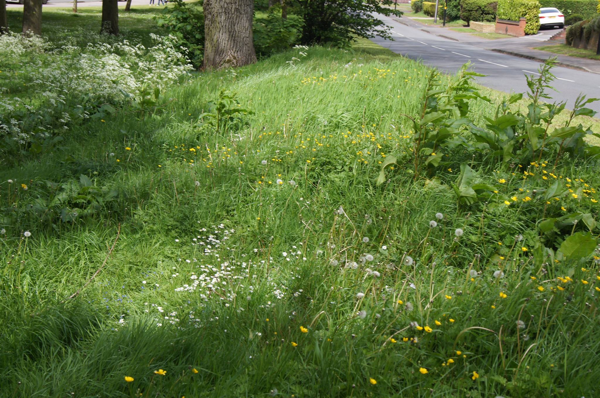 Stop Labour Grass Cutting Cuts 